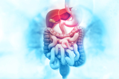 CPD for Qualified Pharmacy Technicians -Gastrointestinal Conditions (2)