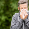 High Pollen Forecast leads to Hay Fever warning from pharmacists