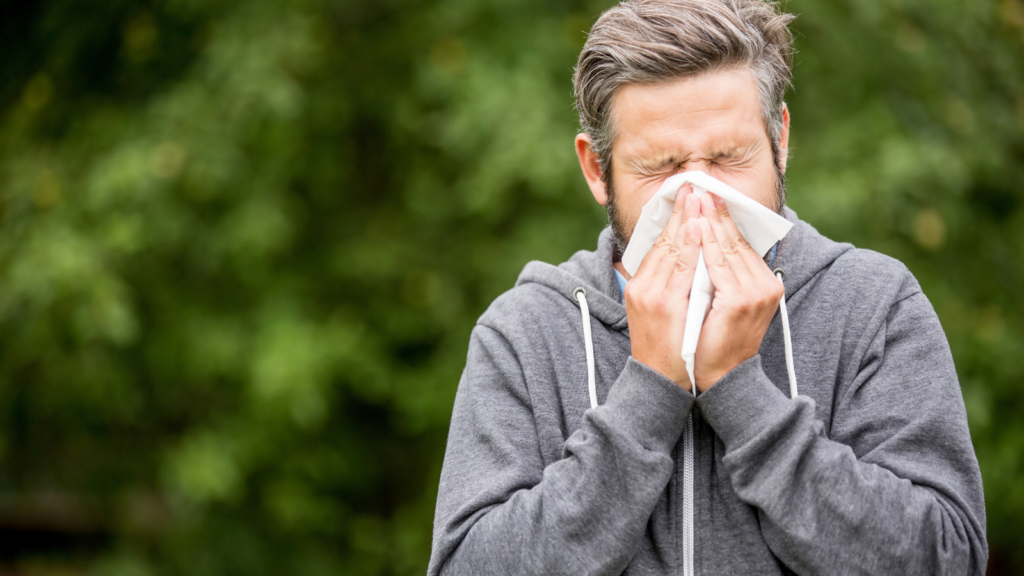 High Pollen Forecast leads to Hay Fever warning from pharmacists