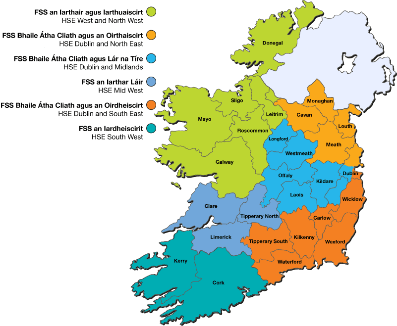 Government approves HSE Health Regions Implementation Plan