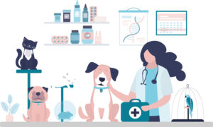 Selling veterinary medicinal products over the internet